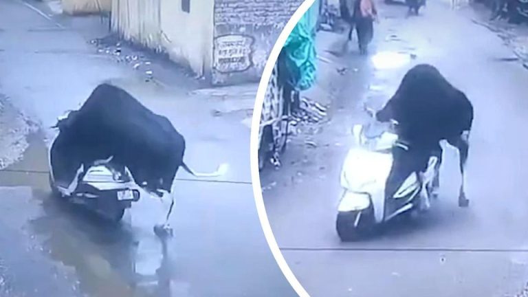 Inka yagaragaye itwaye moto mu muhanda mu Buhinde